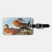 Audubon: Wigeon Bagagelabel (Voorkant horizontaal)