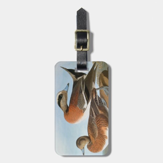 Audubon: Wigeon Bagagelabel (Voorkant verticaal)
