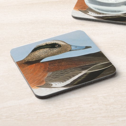 Audubon: Wigeon Bier Onderzetter (Linkerzijde)