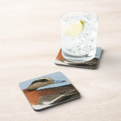 Audubon: Wigeon Bier Onderzetter (Rechterzijde)