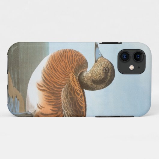 Audubon: Wigeon Case-Mate iPhone Case (Achterkant (horizontaal))
