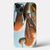 Audubon: Wigeon Case-Mate iPhone Case (Achterkant)