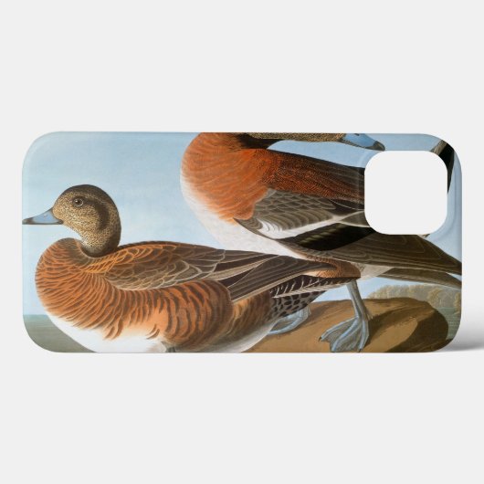 Audubon: Wigeon Case-Mate iPhone Case (Achterkant (horizontaal))