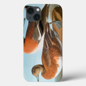 Audubon: Wigeon Case-Mate iPhone Case (Achterkant)