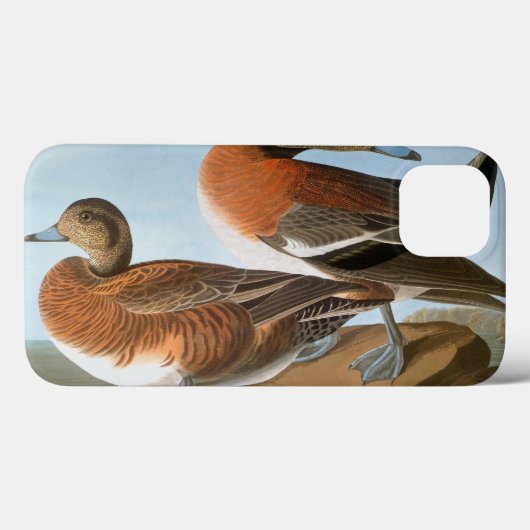 Audubon: Wigeon Case-Mate iPhone Case (Achterkant (horizontaal))
