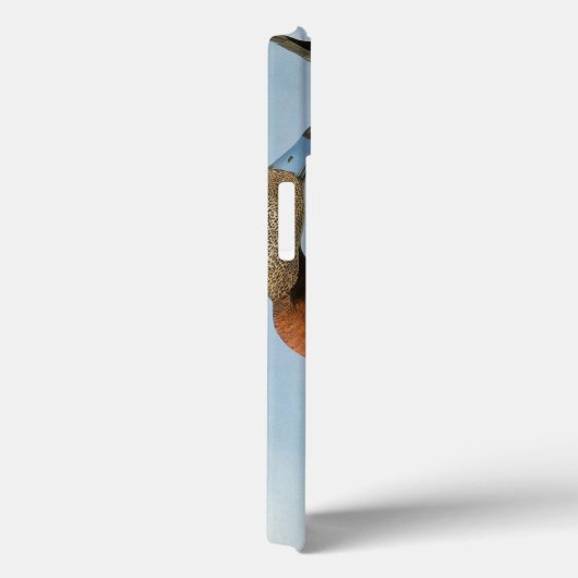 Audubon: Wigeon Case-Mate iPhone Case (Achterkant / Rechts)
