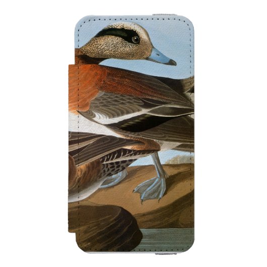 Audubon: Wigeon Incipio iPhone Portemonnee Hoesje (Voorkant Agenda)