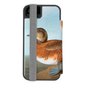 Audubon: Wigeon Incipio iPhone Portemonnee Hoesje (Agenda Achterkant)