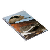 Audubon: Wigeon Notitieboek (Rechterzijde)