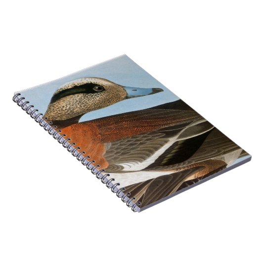 Audubon: Wigeon Notitieboek (Rechterzijde)
