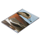 Audubon: Wigeon Notitieboek (Linkerzijde)