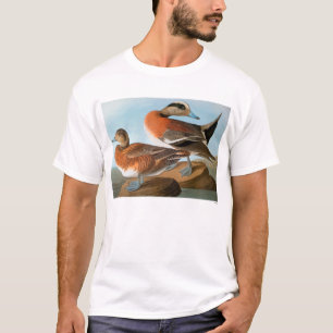 Audubon: Wigeon T-shirt