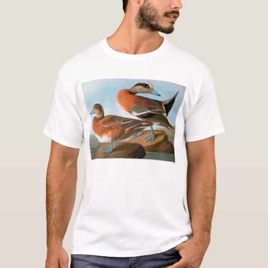 Audubon: Wigeon T-shirt (Voorkant)