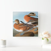 Audubon: Wigeon Vierkante Klok (Huis)