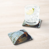 Audubon: Wild Turkey Bier Onderzetter (Rechterzijde)