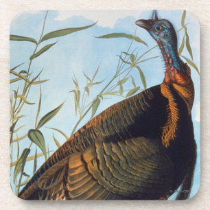 Audubon: Wild Turkey Bier Onderzetter