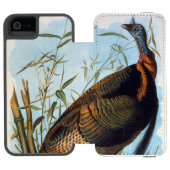 Audubon: Wild Turkey Incipio iPhone Portemonnee Hoesje (Agenda Open)