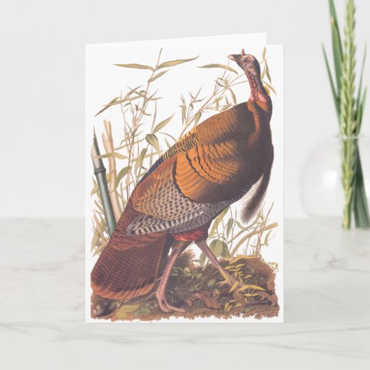 Audubon Wild Turkey Kaart (Voorkant)