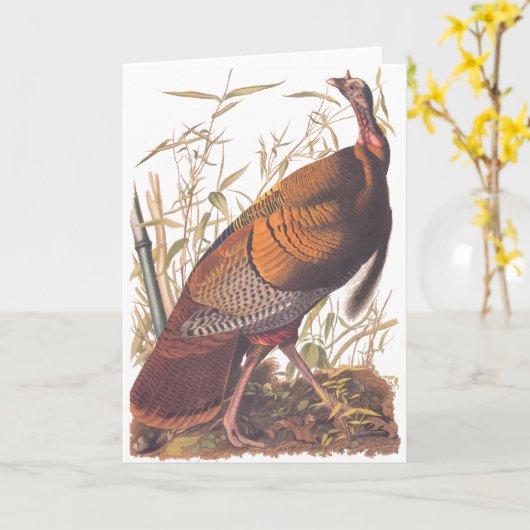 Audubon Wild Turkey Kaart (Gele Bloem)