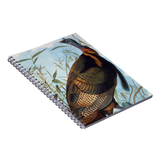 Audubon: Wild Turkey Notitieboek (Rechterzijde)