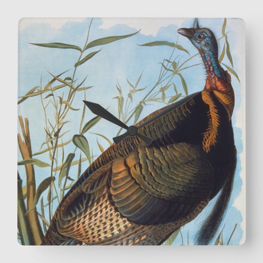 Audubon: Wild Turkey Vierkante Klok (Voorkant)