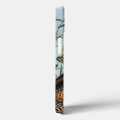 Audubon: Wild Turkije Case-Mate iPhone Case (Achterkant / Rechts)