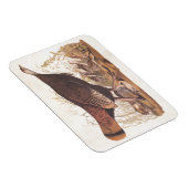 Audubon Wilde kalkoen Kippen en kuikens in de herf Magneet (Rechterzijde)