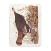 Audubon Wilde kalkoen Kippen en kuikens in de herf Magneet (Verticaal)