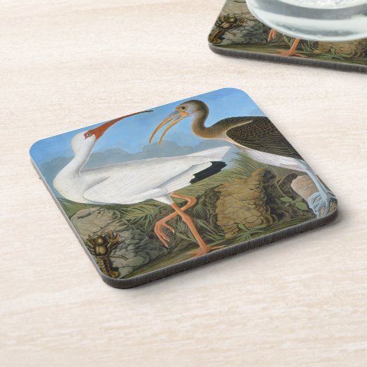 Audubon: Witte Ibis Drankjes Onderzetter (Linkerzijde)