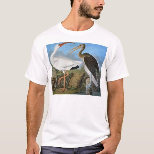 Audubon: witte ibis t-shirt (Voorkant)