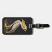 Audubon Witte Pelikaan Vogel Amerika Bagagelabel (Voorkant horizontaal)