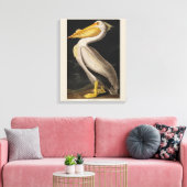 Audubon Witte Pelikaan Vogel Amerika Canvas Afdruk (Insitu (Woonkamer))