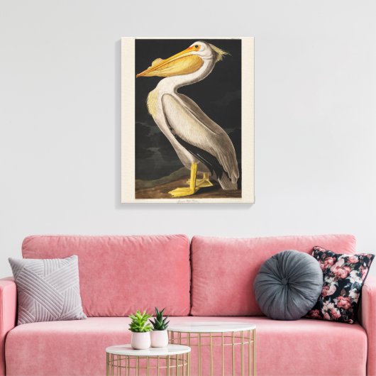 Audubon Witte Pelikaan Vogel Amerika Canvas Afdruk (Insitu (Woonkamer))