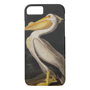 Audubon Witte Pelikaan Vogel Amerika iPhone 8/7 Hoesje