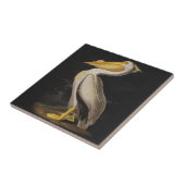 Audubon Witte Pelikaan Vogel Amerika Tegeltje (Zijkant)