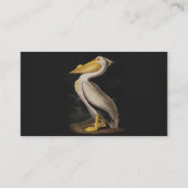 Audubon Witte Pelikaan Vogel Amerika Visitekaartje (Achterkant)