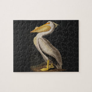 Audubon Witte Pelikaan Vogel Vintage Print Legpuzzel