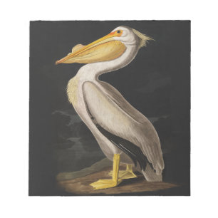 Audubon Witte Pelikaan Vogel Vintage Print Notitieblok