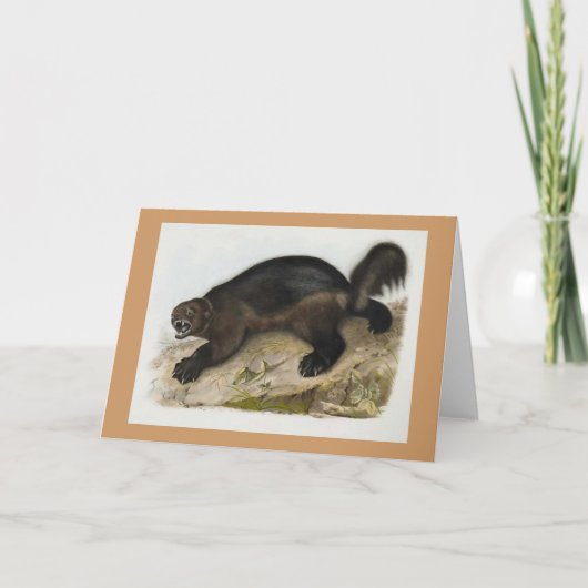 Audubon - Wolverine Kaart (Voorkant)