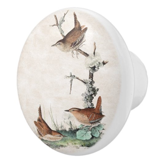 Audubon Wren Birds Wildlife Animals Knob Keramische Knop (Rechts)