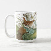 Audubon Wren Birds Wildlife Animals Meadow Mok (Links)