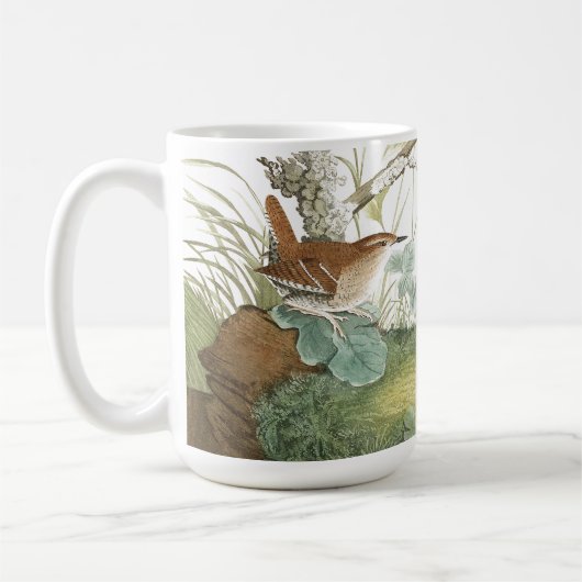 Audubon Wren Birds Wildlife Animals Meadow Mok (Links)
