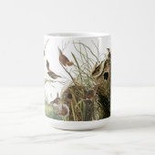 Audubon Wren Birds Wildlife Animals Nests Mok (Center)