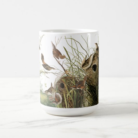 Audubon Wren Birds Wildlife Animals Nests Mok (Center)