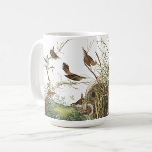 Audubon Wren Birds Wildlife Animals Nests Mok
