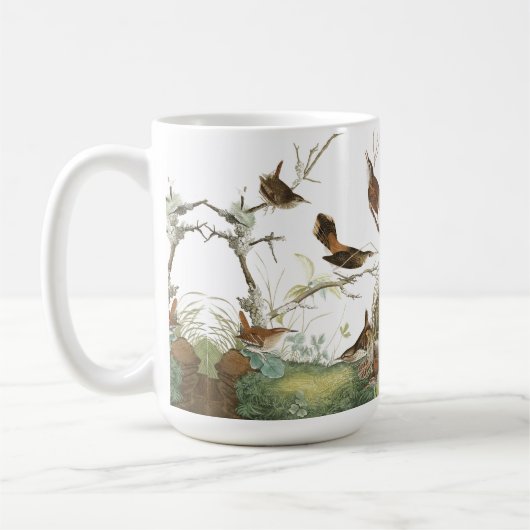 Audubon Wren Birds Wildlife Animals Nests Mok (Links)
