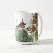 Audubon Wren Birds Wildlife Animals Nests Mok (Voorkant rechts)