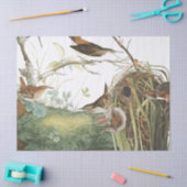 Audubon Wren Nest Birds Wildlife Weefpapier Tissuepapier (Craft)