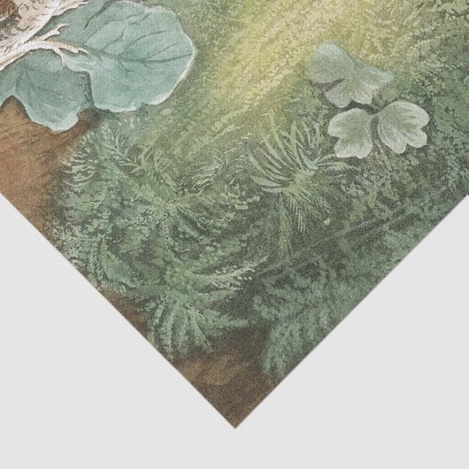 Audubon Wren Nest Birds Wildlife Weefpapier Tissuepapier (Detail)