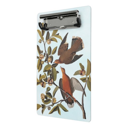 Audubon Zenaida Duif met bloemen Mini Klembord (Angled2)
